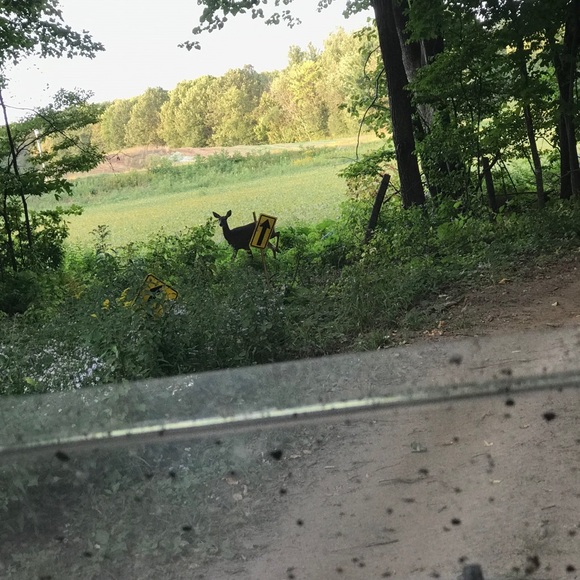 Meet your Posher, Cheyenne - Picture 1 of 1